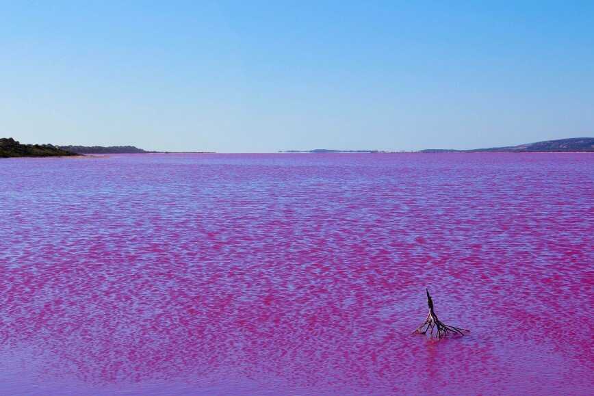 Озеро хиллер на острове миддл в австралии — почему розовое, где находится, как добраться, фото, отзывы туристов