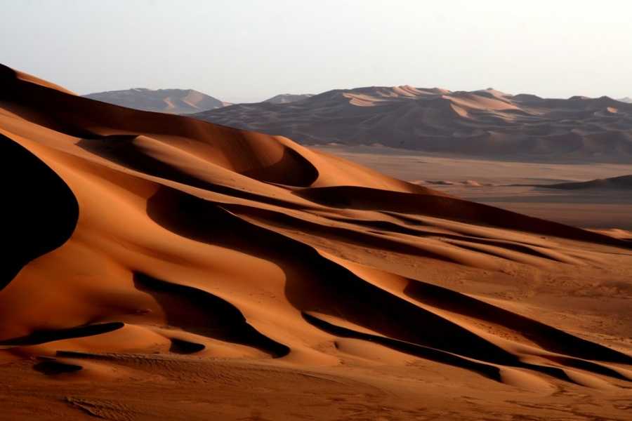 Крупнейшие пустыни в мире — (топ-10) описание и фото