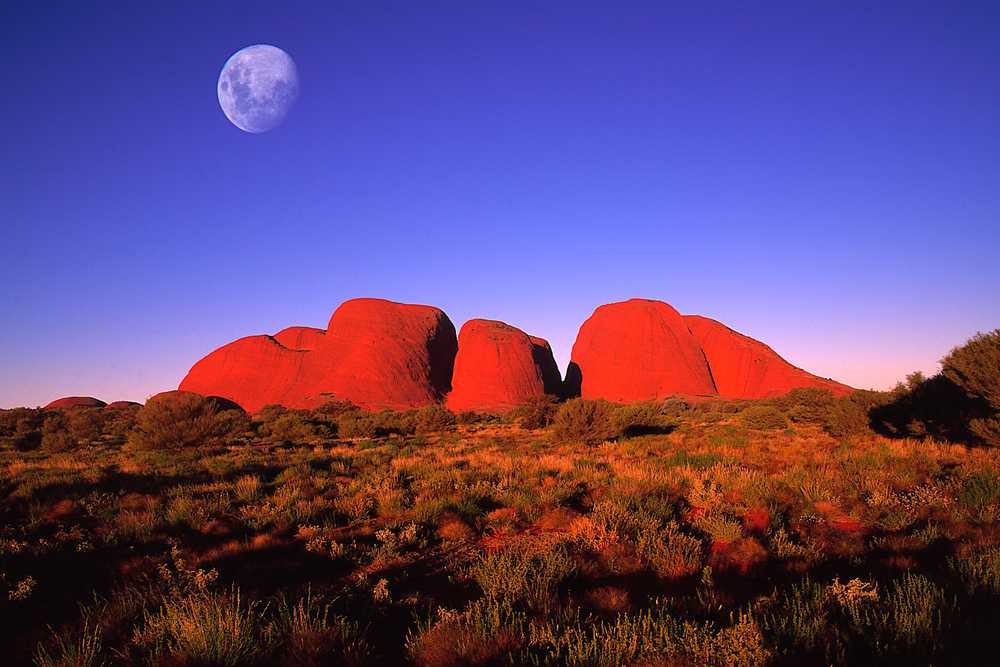 Гора Ольга (Mount Olga) находится в Национальном парке Австралии Улуру-Ката-Тьюта и состоит из 36 массивных округлых скал, множества ущелий и долин