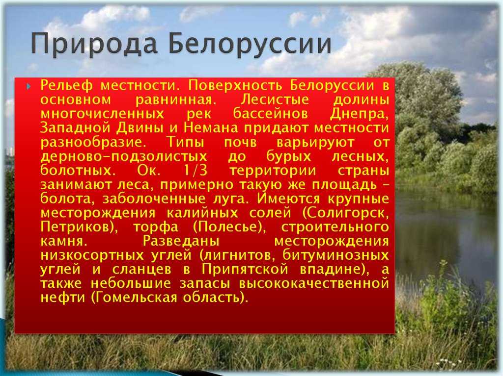 Беларусь – путеводитель и подробная информация о стране