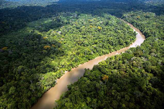 Амазония, бразилия — города и районы, экскурсии, достопримечательности амазонии от «тонкостей туризма»