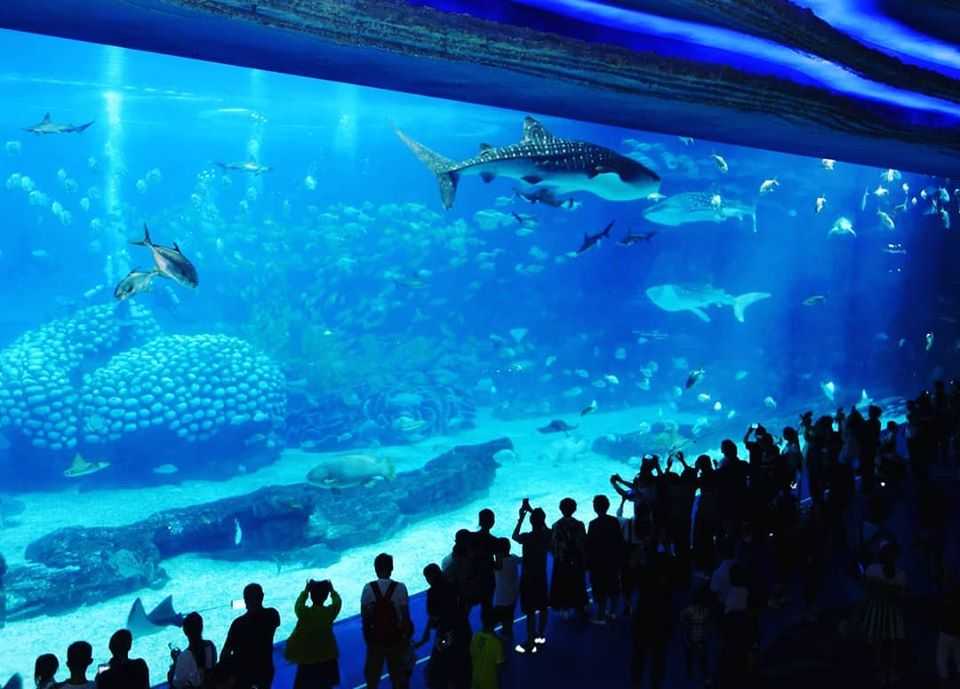 Список аквариумов австралии
