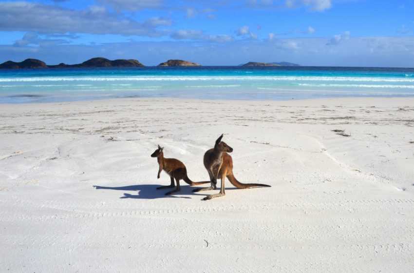 Пляжи золотого побережья австралии