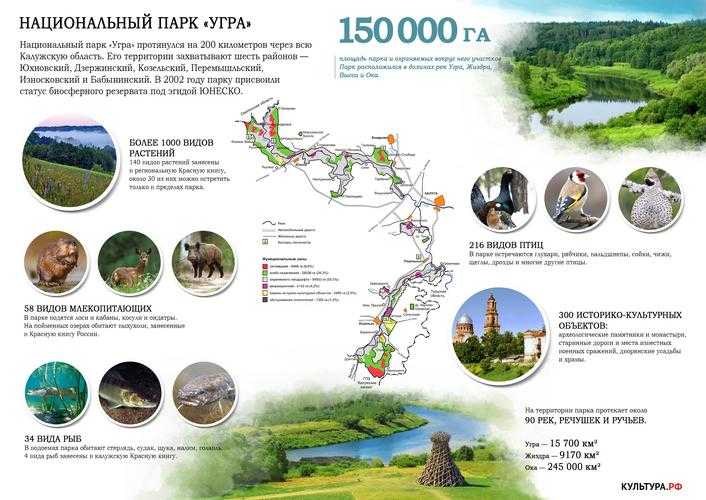 Национальный парк Пирин – живописная природоохранная территория, расположенная в горах Пирин на юго-западе Болгарии.
