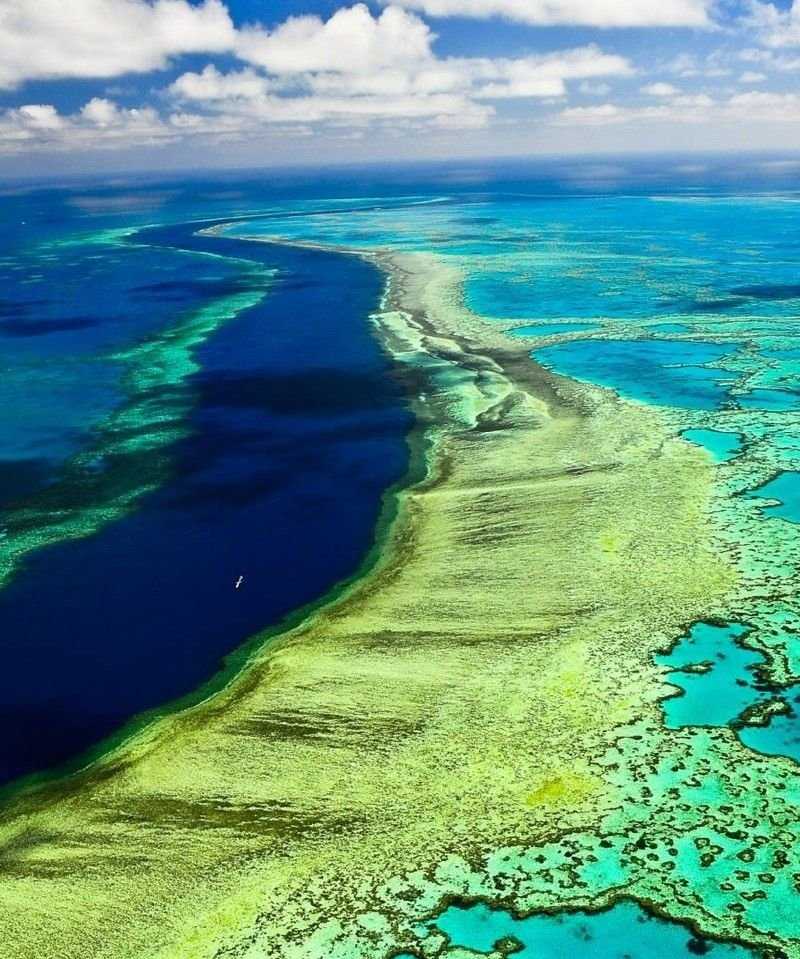 Большой барьерный риф (австралия). информация для туристов