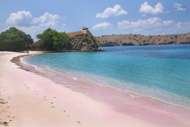 Розовый пляж на острове харбор (багамские острова) - фото, описание, как добраться