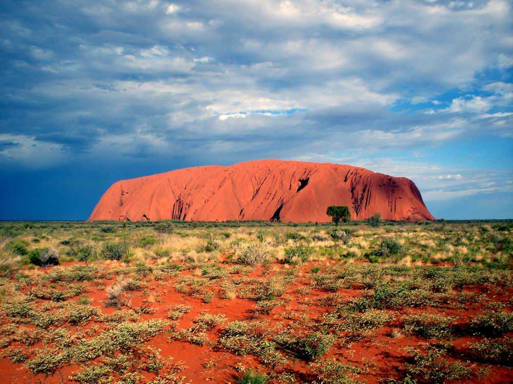 Австралия: природные зоны. пустыни австралии полупустыни австралии