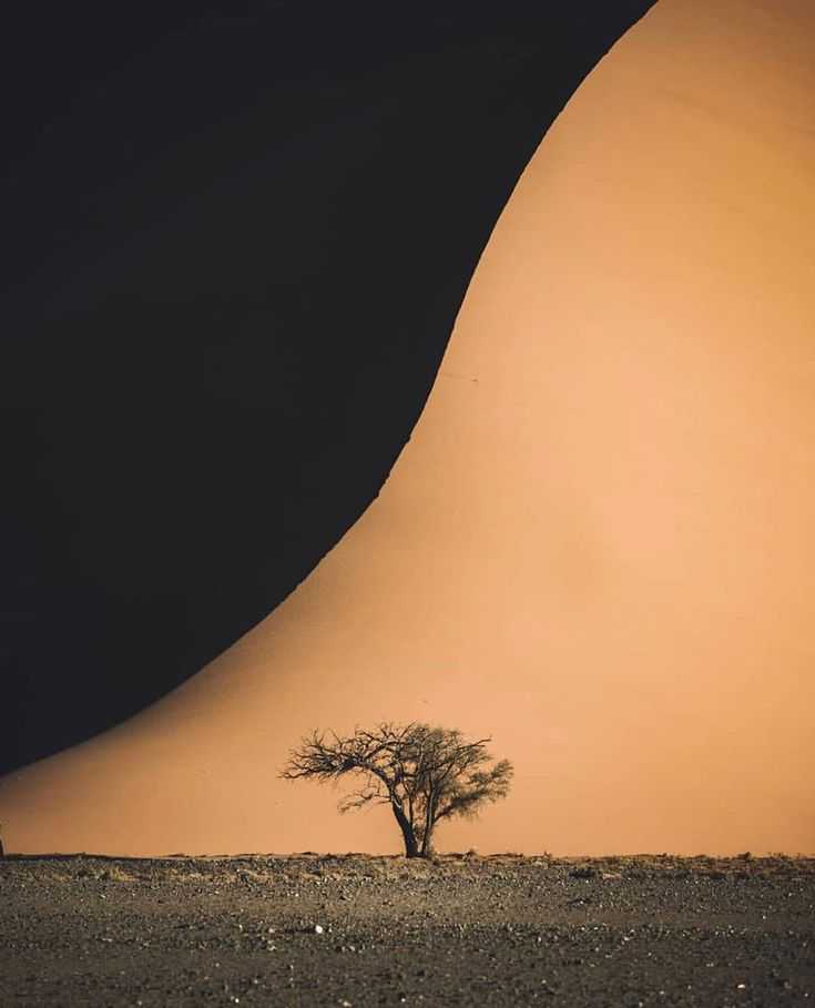 Калахари (пустыня) — африка — планета земля