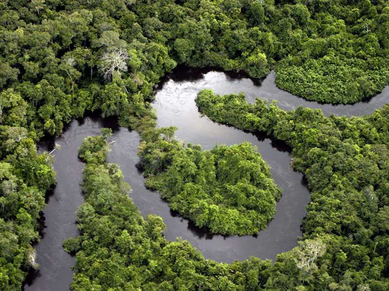 Амазония: может ли планета остаться без главного тропического леса