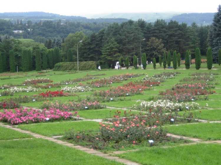 Экскурсия казанлък, долина роз и прочие достопримечательности болгарии