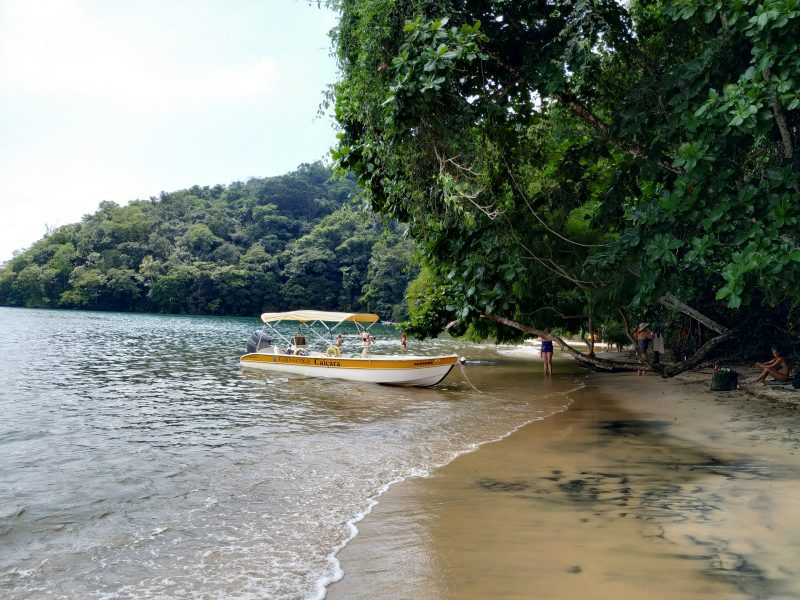 Кеймада-гранди — змеиный остров бразилии