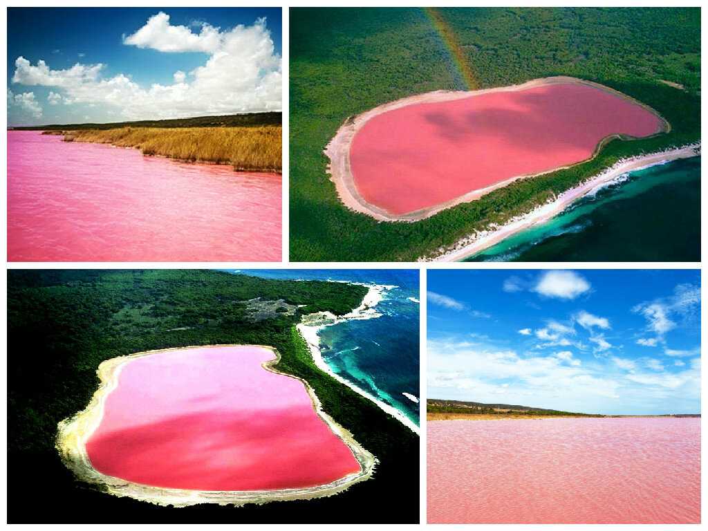 Австралийское озеро с розовой водой. озеро хиллер: розовое озеро в австралии