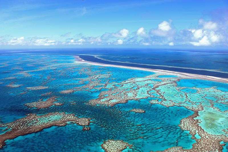 Большой барьерный риф, австралия (история, фото)