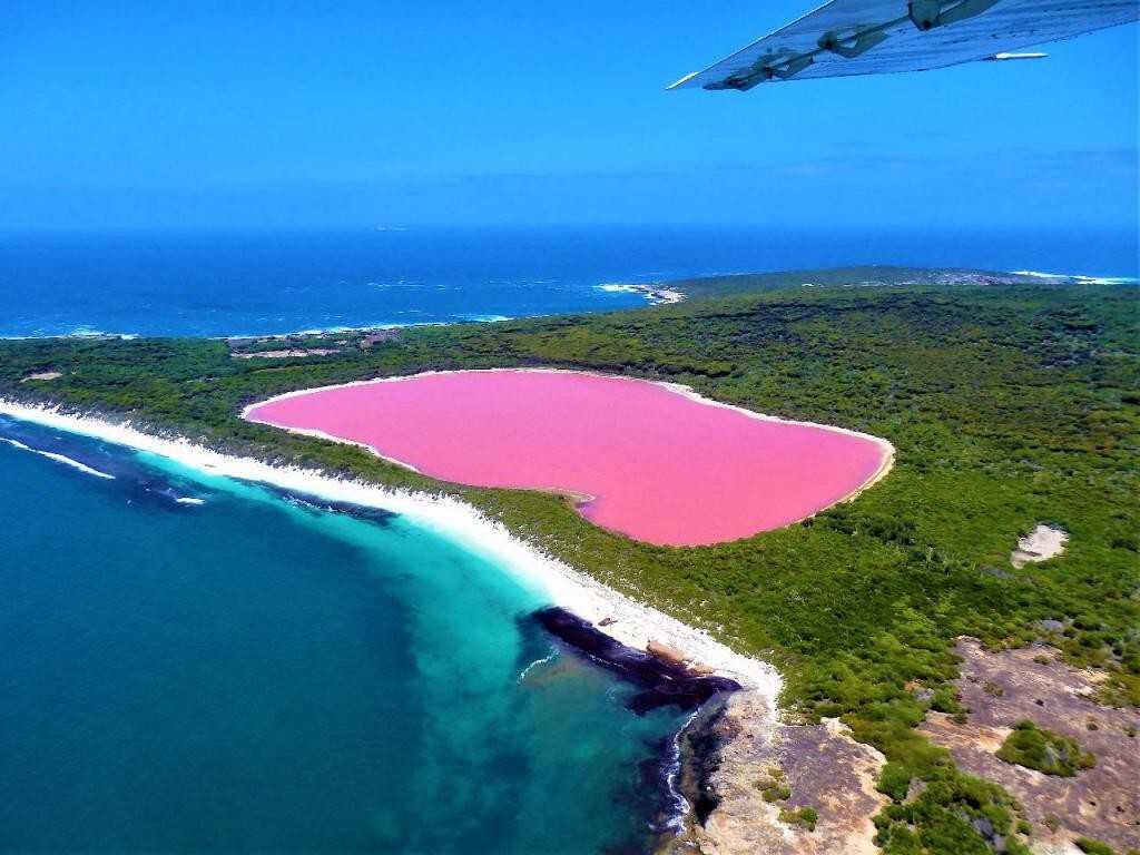 Озеро хиллер на острове миддл в австралии: почему розовое, где находится, как добраться, фото, отзывы туристов