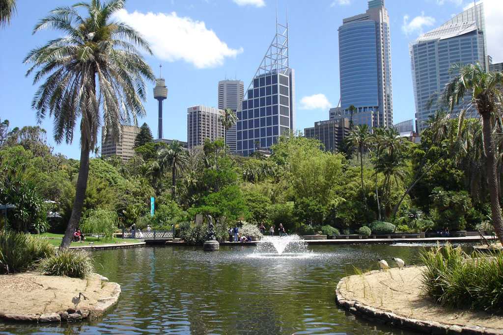 Узнай где находится Сиднейский аквариум на карте Сиднея (С описанием и фотографиями) Сиднейский аквариум со спутника