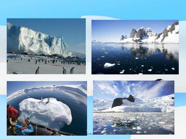 Население антарктиды - численность жителей материка