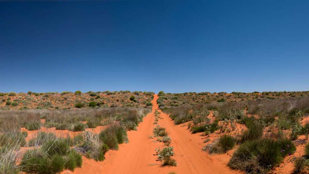 Пиннаклс – пустыня на юго-западе Австралии Она является частью Национального Парка Намбунг, находится в 19 км от провинциального городка Сервантес, в 245 км к северу от Перта, в 6 километрах от береговой линии