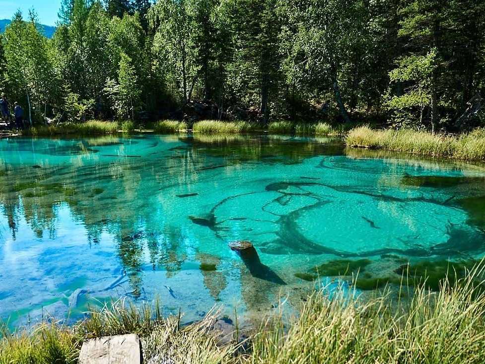 Самое древнее, самое чистое, самое красивое… топ-10 самых интересных озер беларуси | планета беларусь