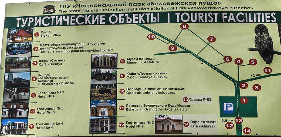 Беловежская пуща, белоруссия — города и районы, экскурсии, достопримечательности беловежской пущи от «тонкостей туризма»