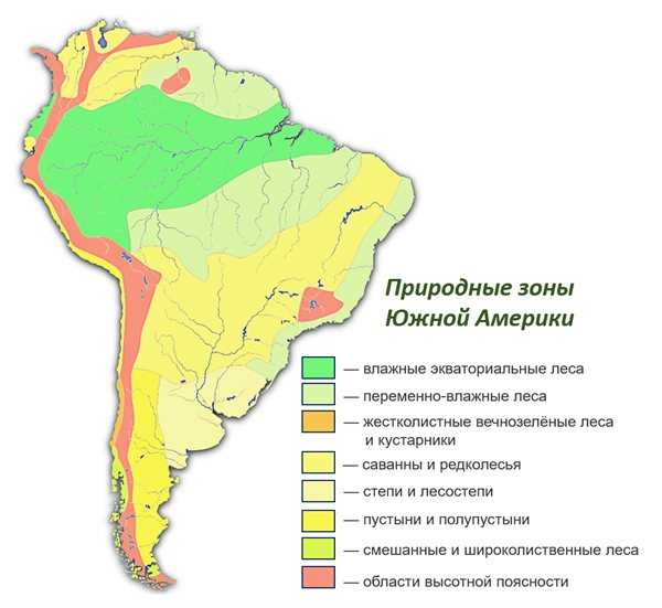 Длина амазонки: где находится великая река на карте мира - географическое положение | tvercult.ru