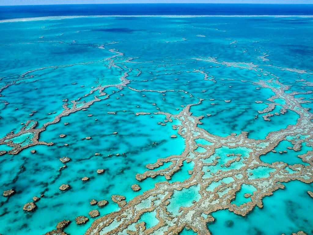Большой барьерный риф (австралия). информация для туристов