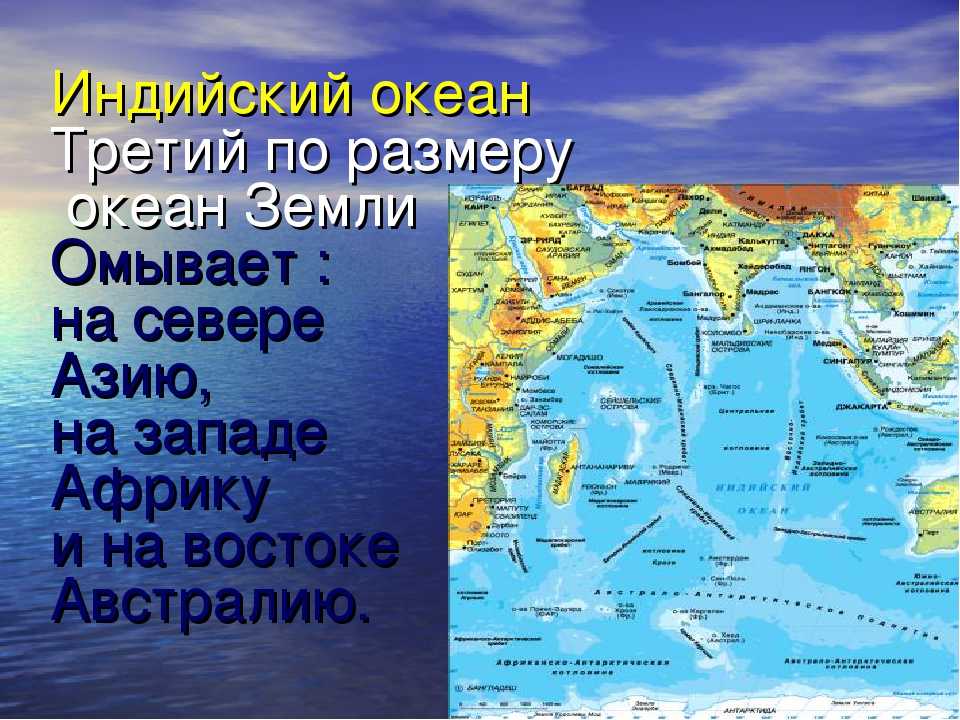Какие океаны омывают антарктиду самый маленький материк земли - tarologiay.ru