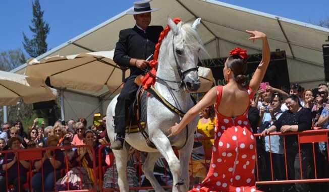 Испанская школа верховой езды в вене: гармония всадника и лошади