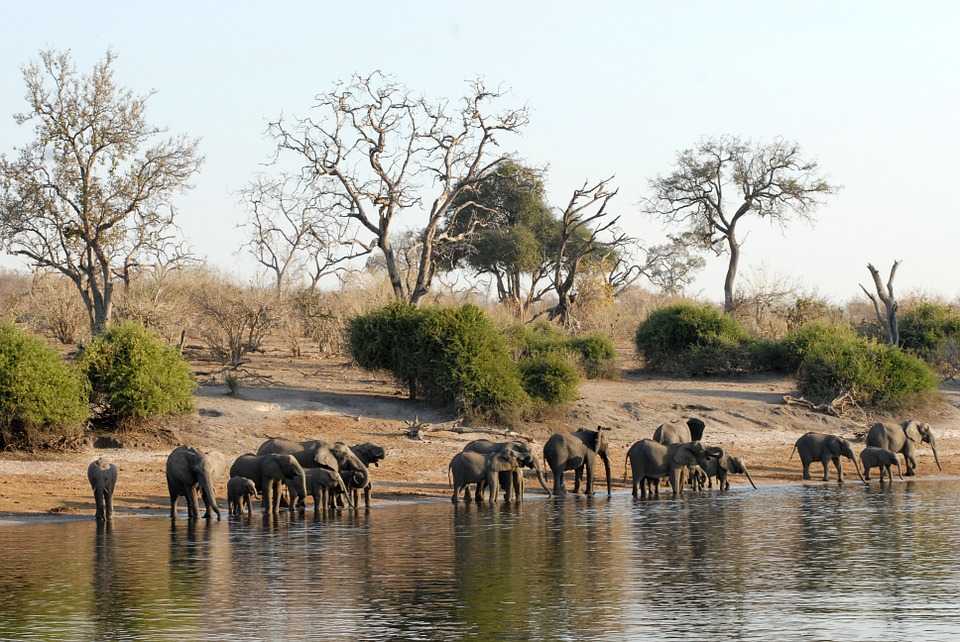 Список национальных парков и заповедников ботсваны - вики
