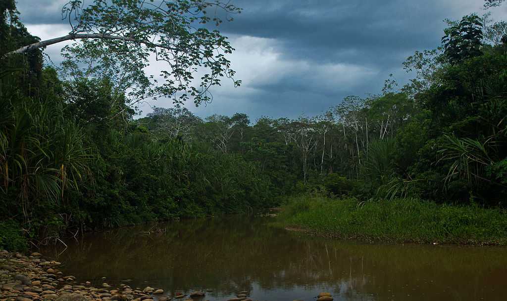 Самые интересные факты об опаснейшей реке на земле — амазонке