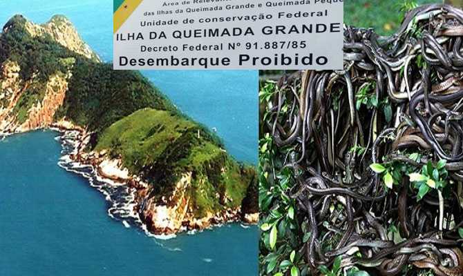 Кеймада гранди - самый опасный змеиный остров в мире
