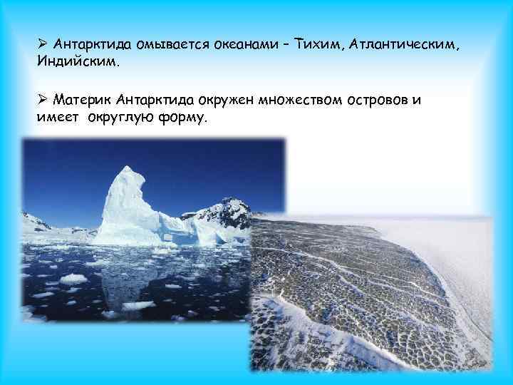 Антарктида: интересные факты о царстве льда и ветра | интересный сайт