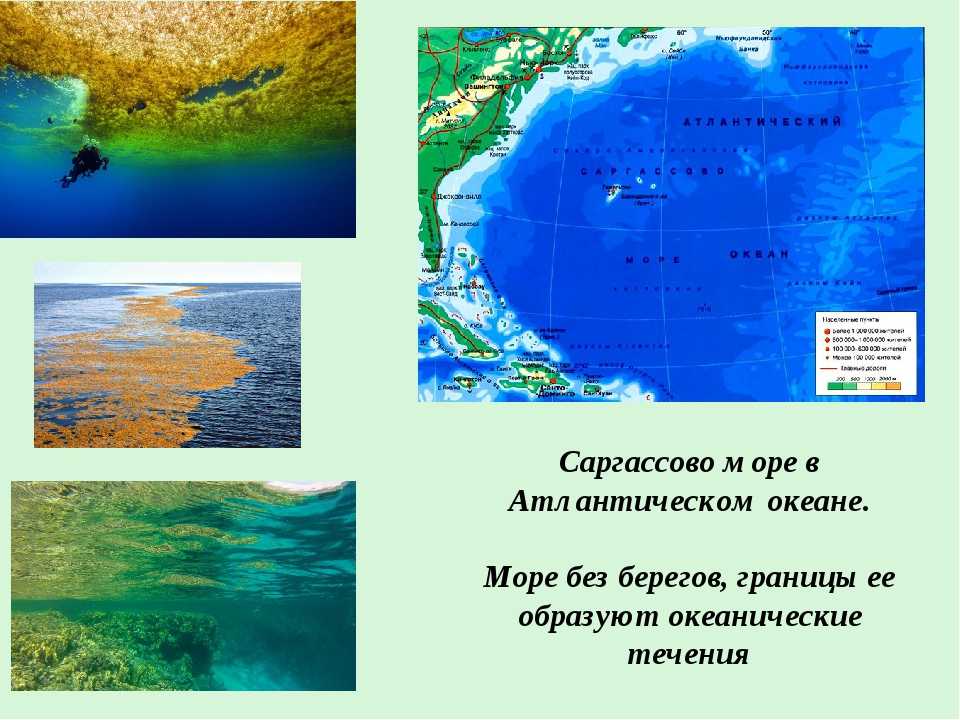 Саргассово море на карте
