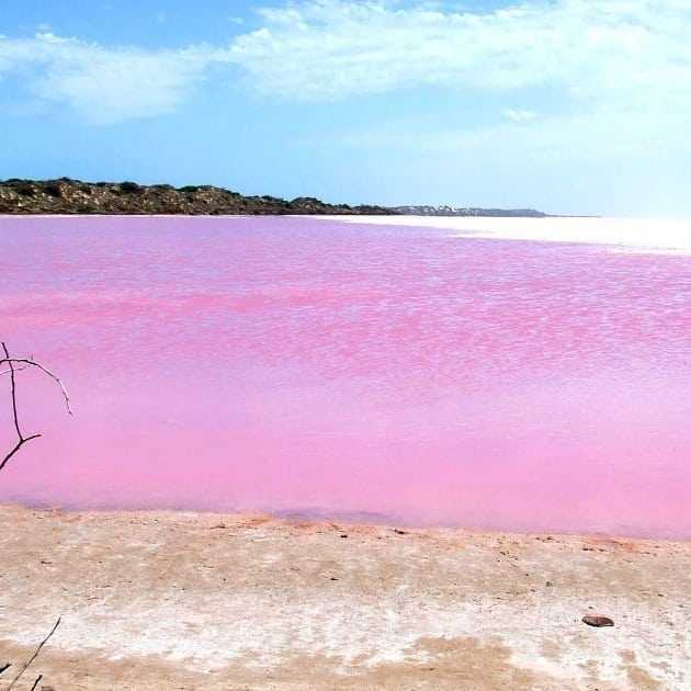Озеро хиллер - розовое чудо австралии :: syl.ru