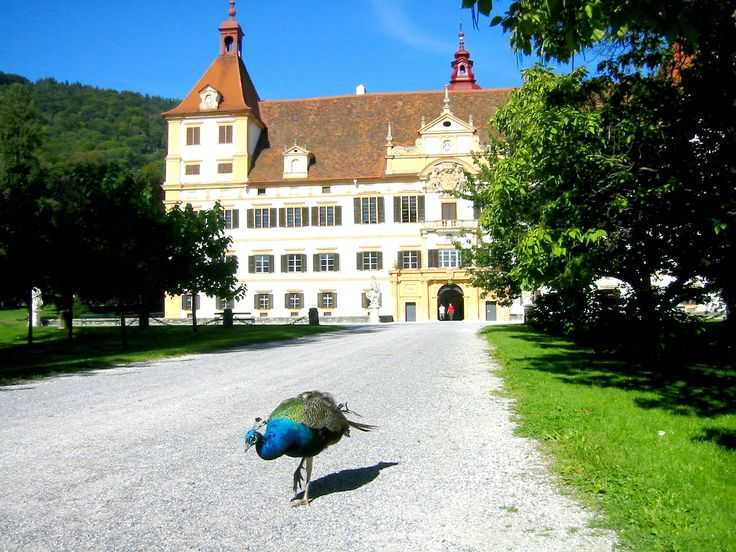 Замок эггенберг (schloss eggenberg) - замки австрии