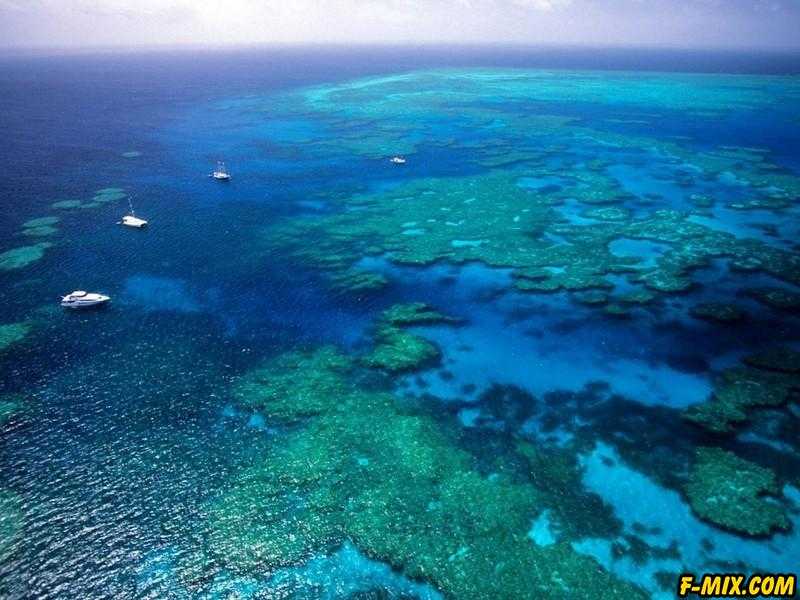 Большой Барьерный риф (Great Barrier Reef) – самый крупный коралловый риф в мире Он находится у северо-восточного побережья Австралии, протянувшись в длину вдоль материковой отмели почти на 2300 км