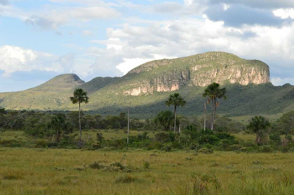 Охраняемые районы бразилии - protected areas of brazil - abcdef.wiki