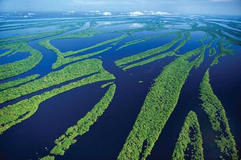 Уникальная амазонка: "самая длинная река в мире" | hasta pronto