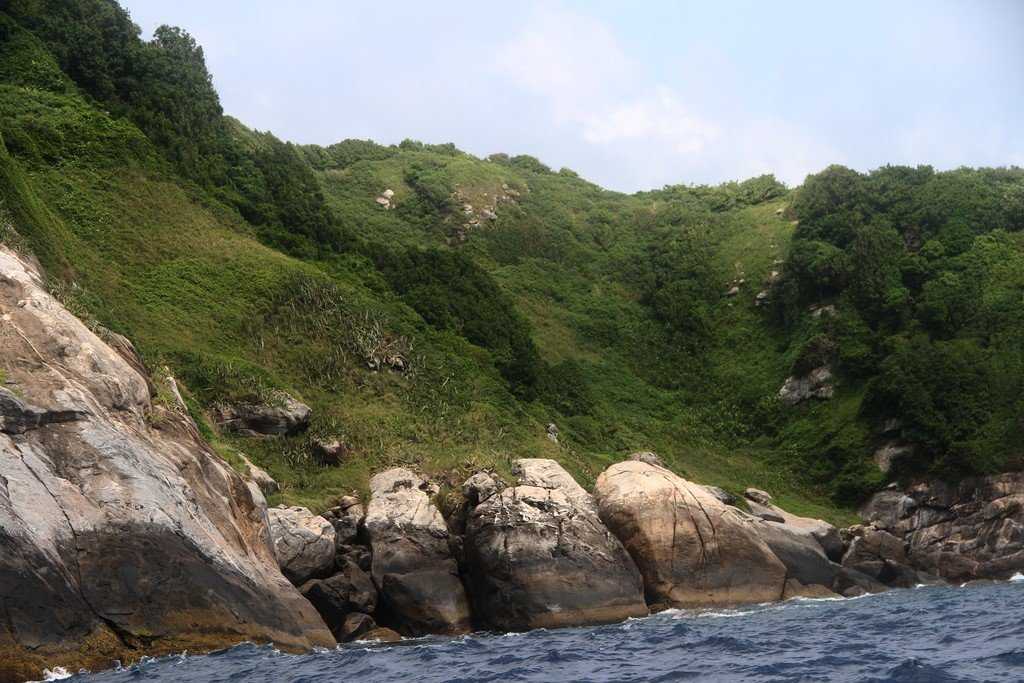 Кеймада-гранди - самый опасный змеиный остров, бразилия (7 фото).