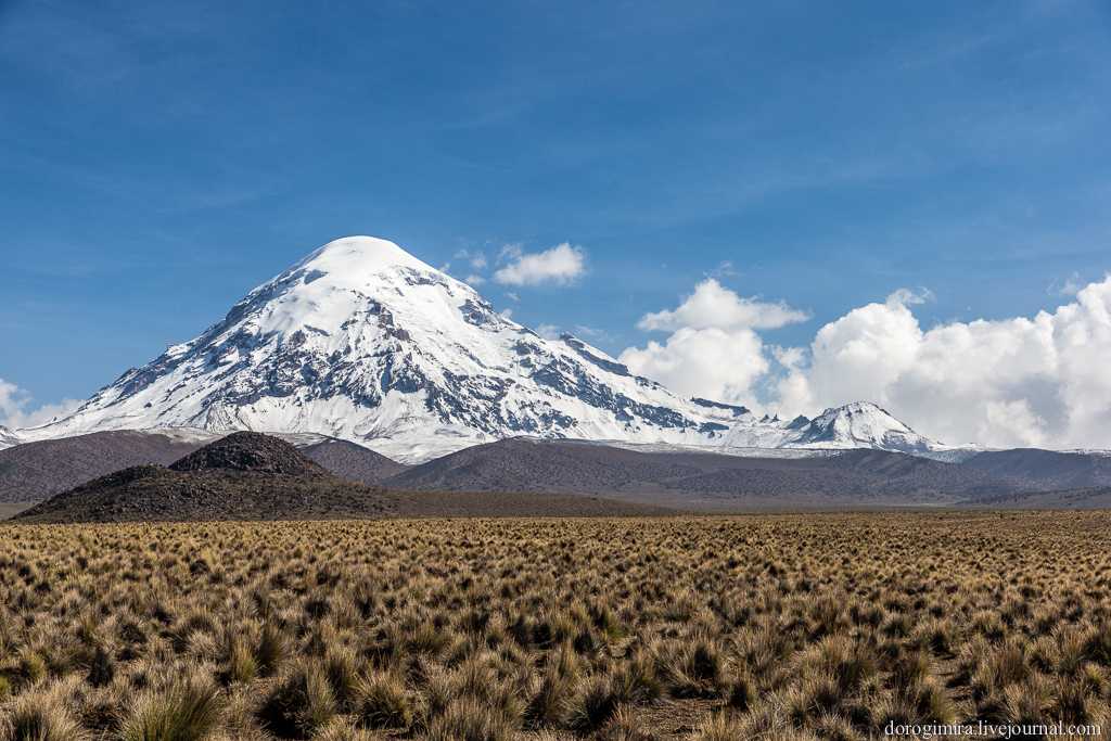 Фото Национального парка Сахама в Боливии. Большая галерея качественных и красивых фотографий Национального парка Сахама, которые Вы можете смотреть на нашем сайте...