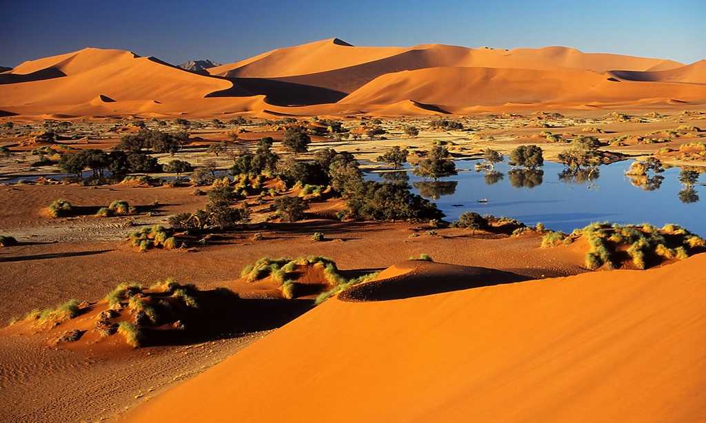 Пустыня пиннакли – фантастический пейзаж | чудеса природы