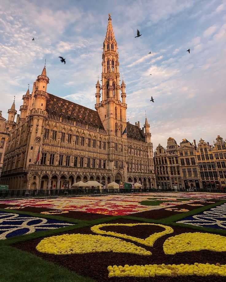 Фестиваль «ковер из цветов» в брюсселе