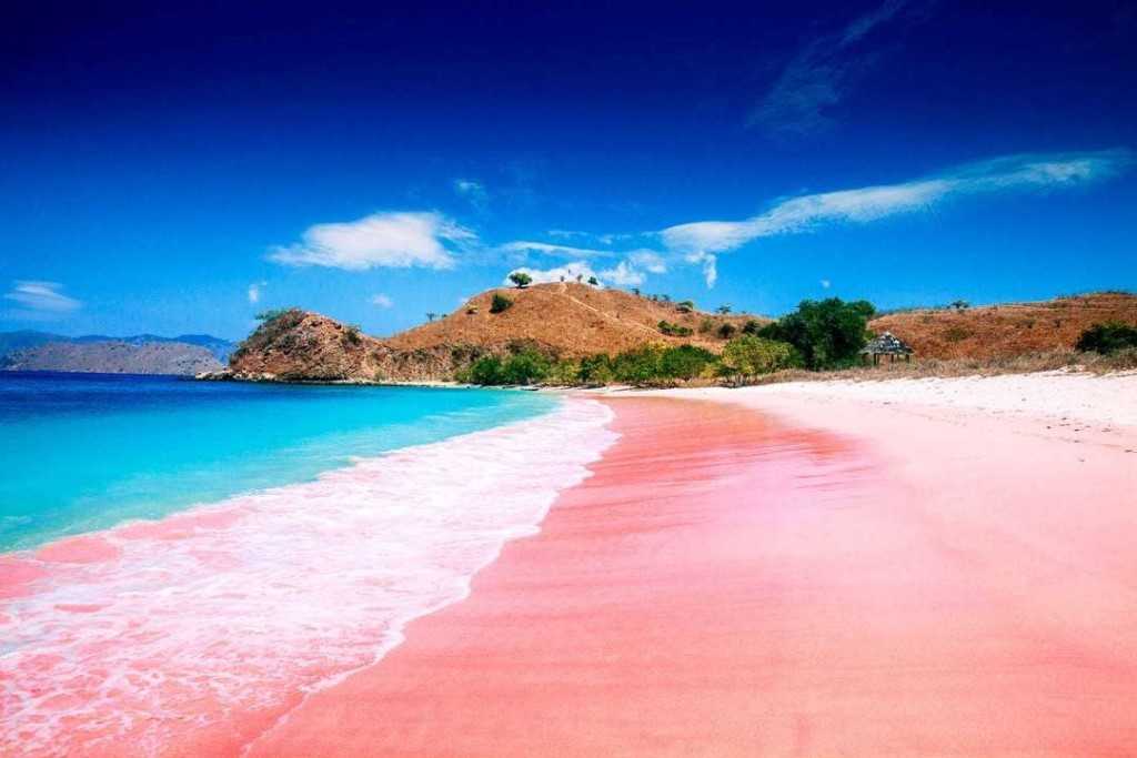 Chudomir | розовые пляжи на багамах  на острове харбор