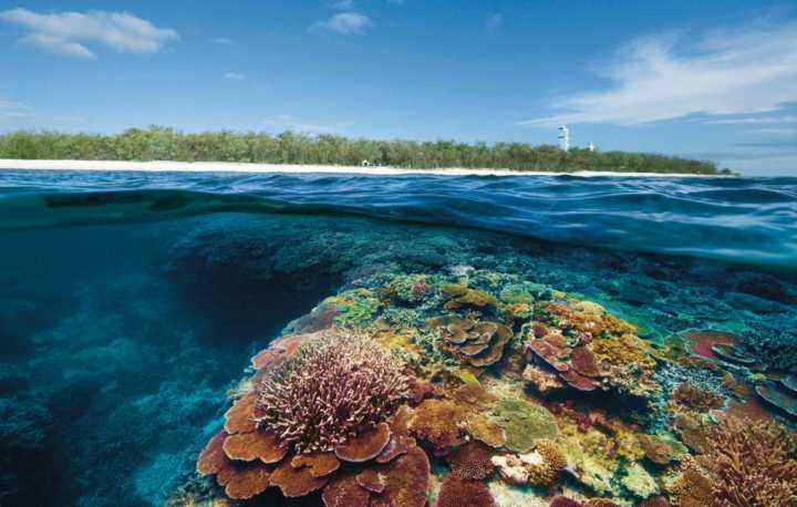 Большой барьерный риф в австралии: где находится, как добраться, фото, отзывы туристов