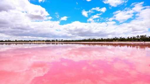 Розовое озеро хиллер в австралии – чудо природы – удивительные факты