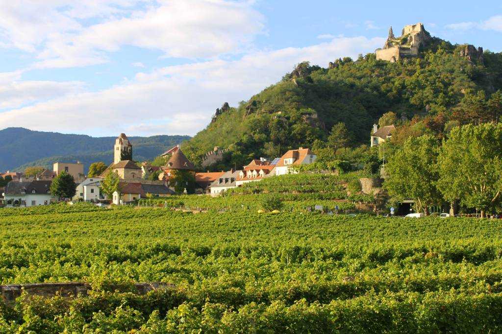 Долина Вахау — это 35-километровый участок долины Дуная между Мельком и Кремсом Вахау — это сказочная красота, скалы, замки, вина, барочные шпили, идиллические деревни и святые места