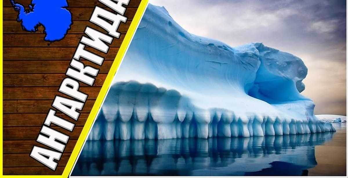 10 лучших вещей, которыми можно заняться в антарктиде