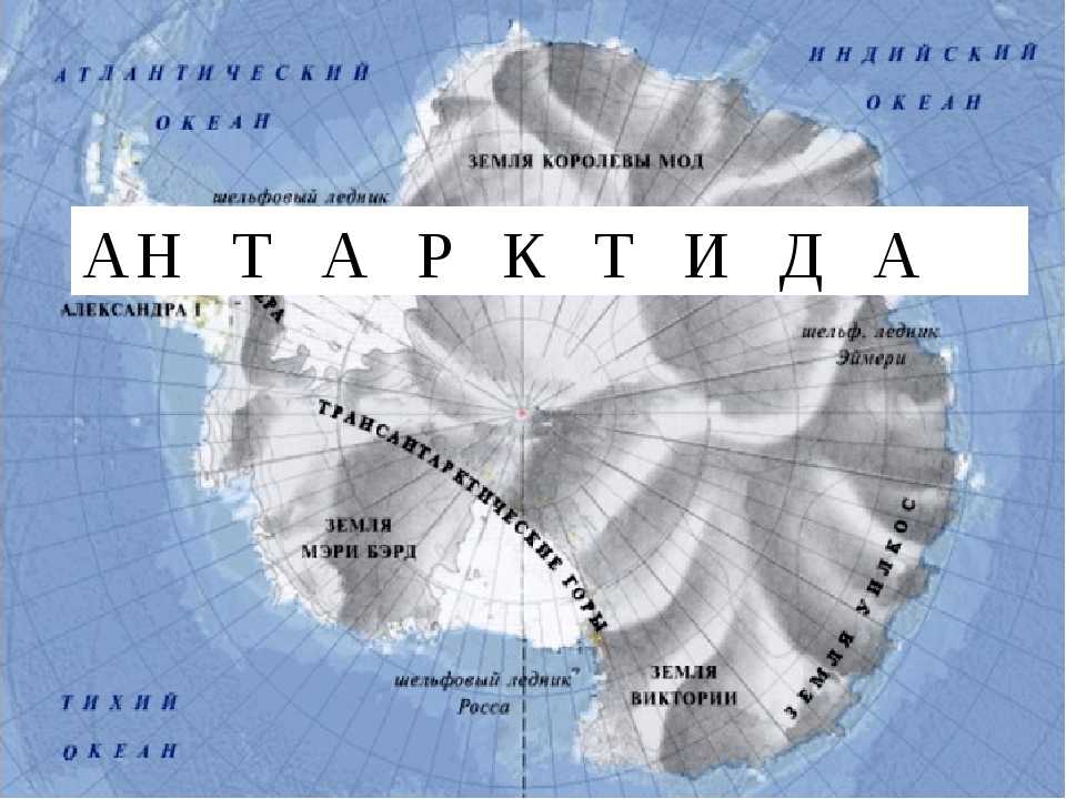 Лазарев михаил петрович — крупнейший деятель военно-морского флота россии первой половины xix века, открывший антарктиду.