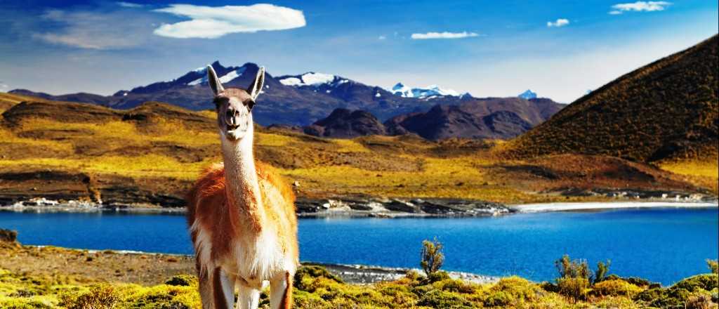 Список национальных парков аргентины - list of national parks of argentina