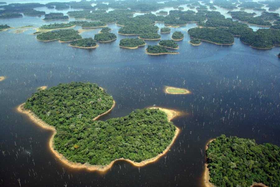 23 интересных факта об амазонке