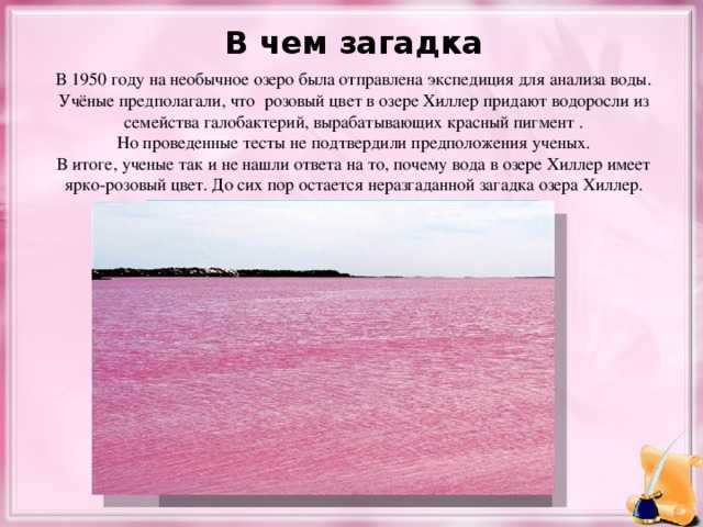 Розовое озеро хиллер в австралии